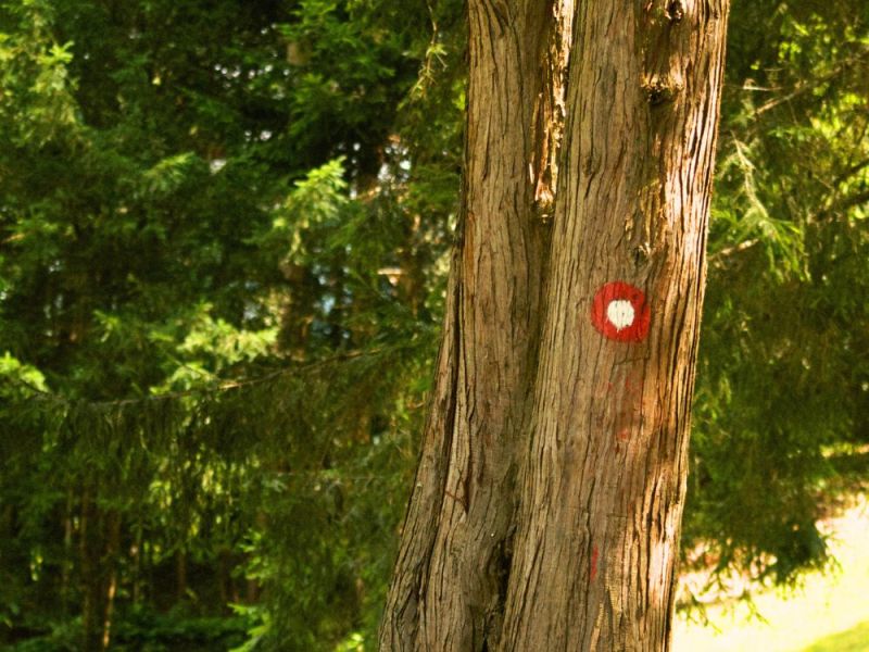 Planinarenje u Hrvatskom zagorju – sve što trebate znati