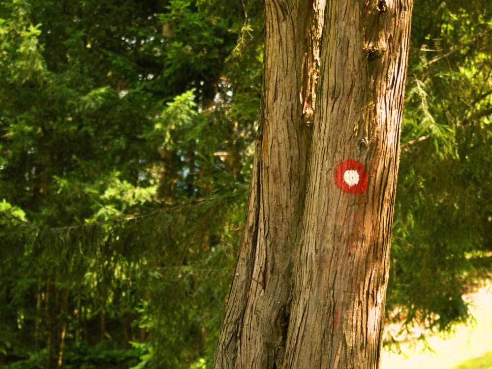 Planinarenje u Hrvatskom zagorju – sve što trebate znati